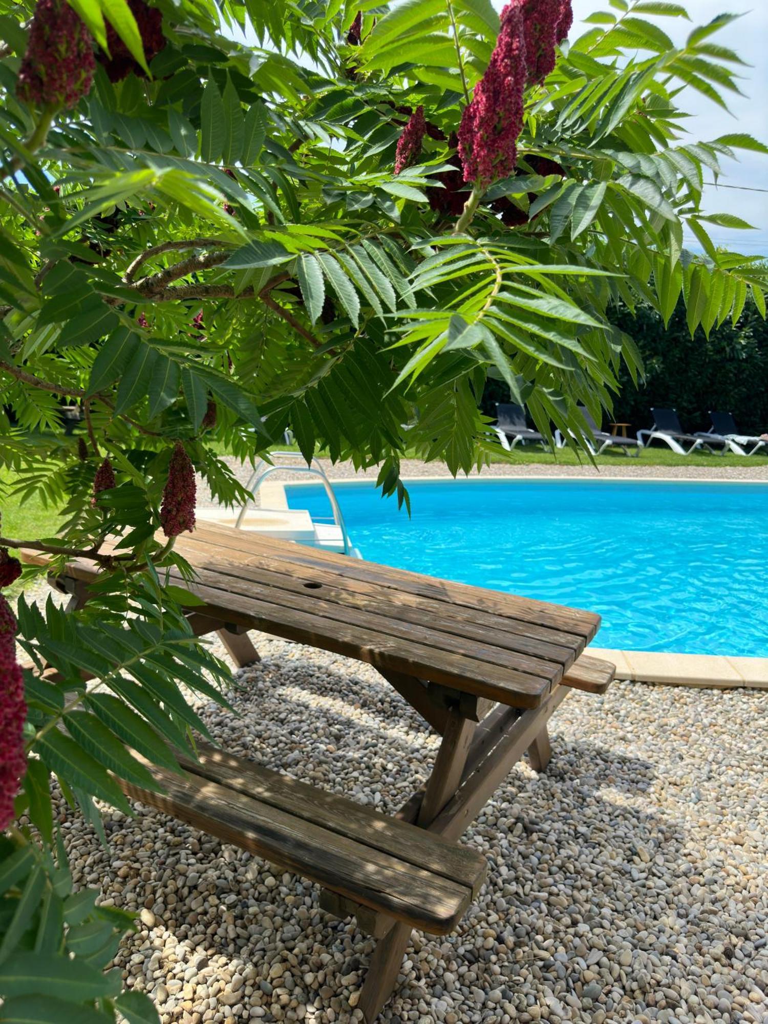 Chateau De La Saone Lens-Lestang Dış mekan fotoğraf