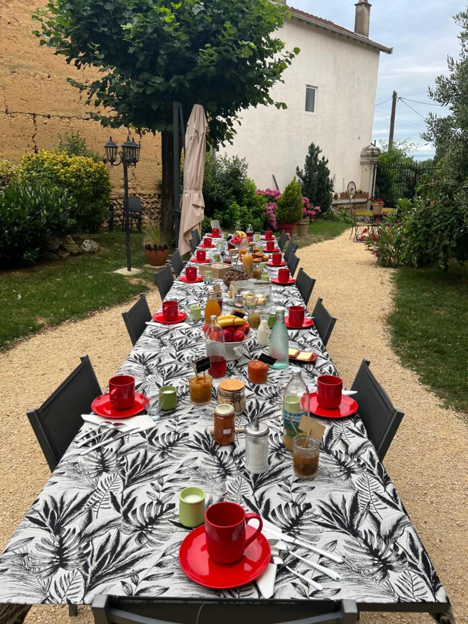Chateau De La Saone Lens-Lestang Dış mekan fotoğraf